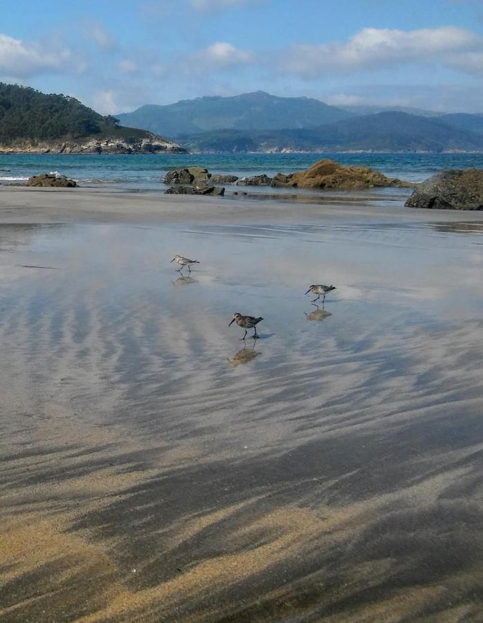 Apartamentos Playa De La Concha 포토데에스파산테 외부 사진